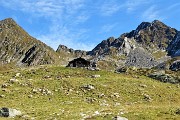 Anello Laghi di Porcile, Passo di Tartano, Cima e Passo di Lemma dalla Baita del Camoscio il 3 ottobre 2018 - FOTOGALLERY